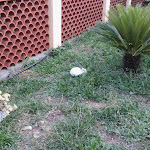 Photo n°1 de l'avis de Mario.i fait le 23/06/2019 à 19:55 sur le  Osteria del Bosco à Finale Ligure