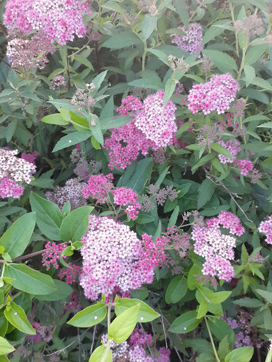 Water Park «Signal Bay Waterpark», reviews and photos, 9300 Signal View Dr, Manassas Park, VA 20111, USA