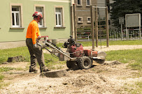 Big G's Trash Hauling & Stump Grinding, Inc. - Photo 2 - Car repair in , Metairie