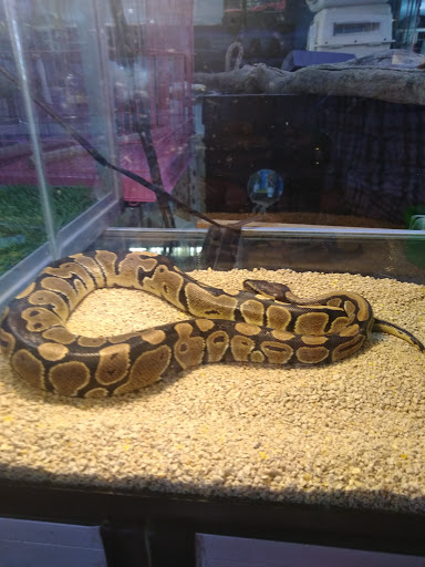 Tropical Fish Store «Wonderland Tropical pets», reviews and photos, 200 W Jefferson Blvd, Dallas, TX 75208, USA