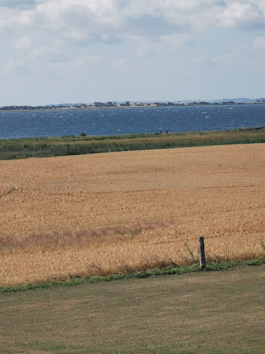 Kommentarer og anmeldelser af Haramara