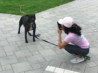 The Litter Sitter Pet Services - Photo 3 - Car repair in , Miami
