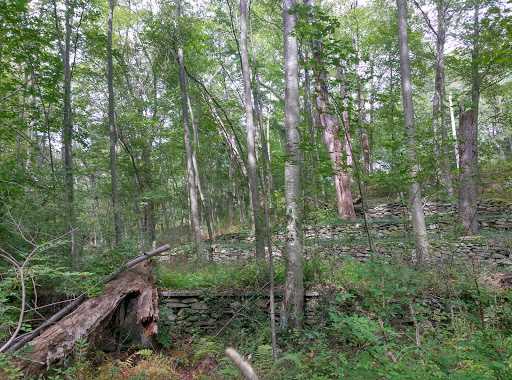 State Park «Dighton Rock State Park», reviews and photos, Bayview Ave, Berkley, MA 02779, USA