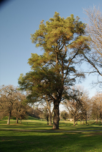 Golf Course «Ancil Hoffman Golf Course», reviews and photos, 6700 Tarshes Dr, Carmichael, CA 95608, USA