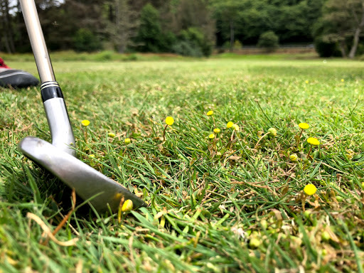 Golf Course «Neskowin Marsh Golf Course», reviews and photos, 48405 Hawk Dr, Neskowin, OR 97149, USA