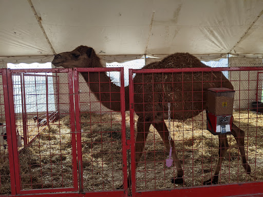 Produce Market «Didier Farms», reviews and photos, 16678 Aptakisic Rd, Lincolnshire, IL 60069, USA