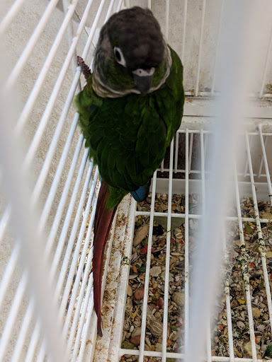 Pet Supply Store «Pet Valu», reviews and photos, 541 S Breiel Blvd, Middletown, OH 45044, USA