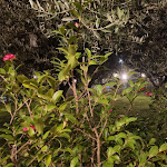 Photo n°18 de l'avis de Erika.a fait le 21/02/2024 à 07:04 sur le  Masi Tenuta Canova à Lazise