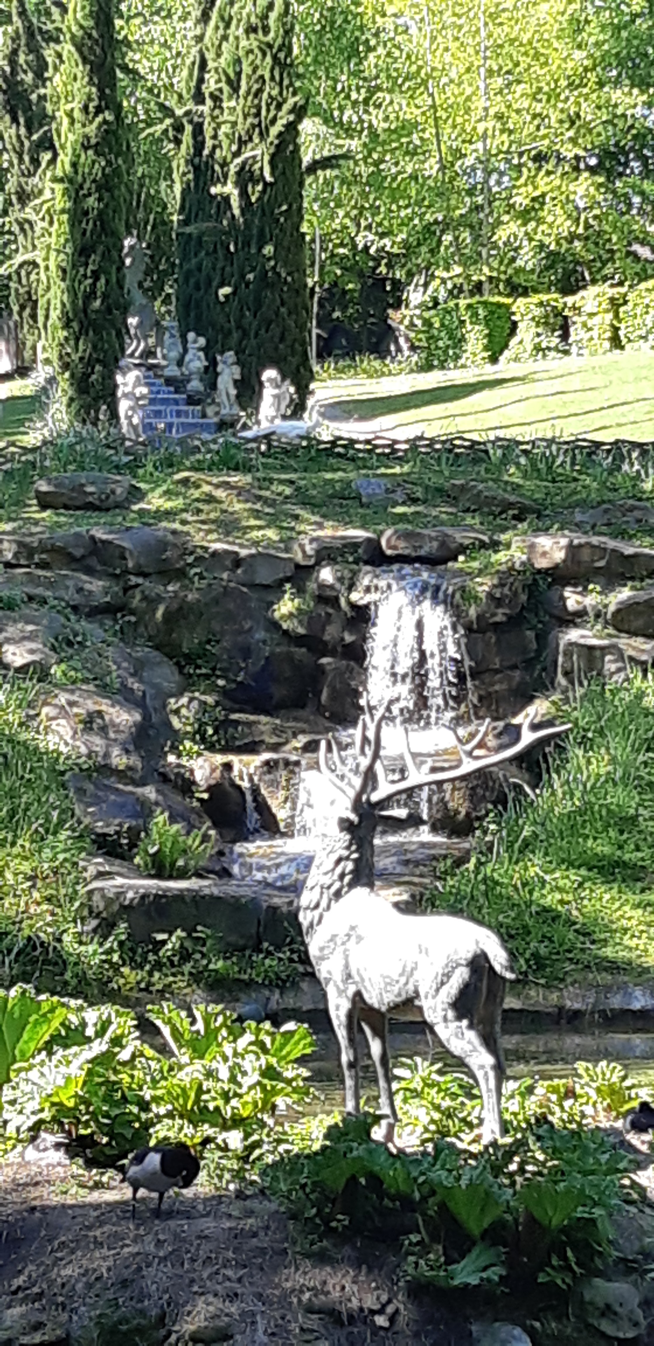 Photo n° 13 de l'avis de ANGÉLIQUE.A fait le 16/05/2019 à 10:37
