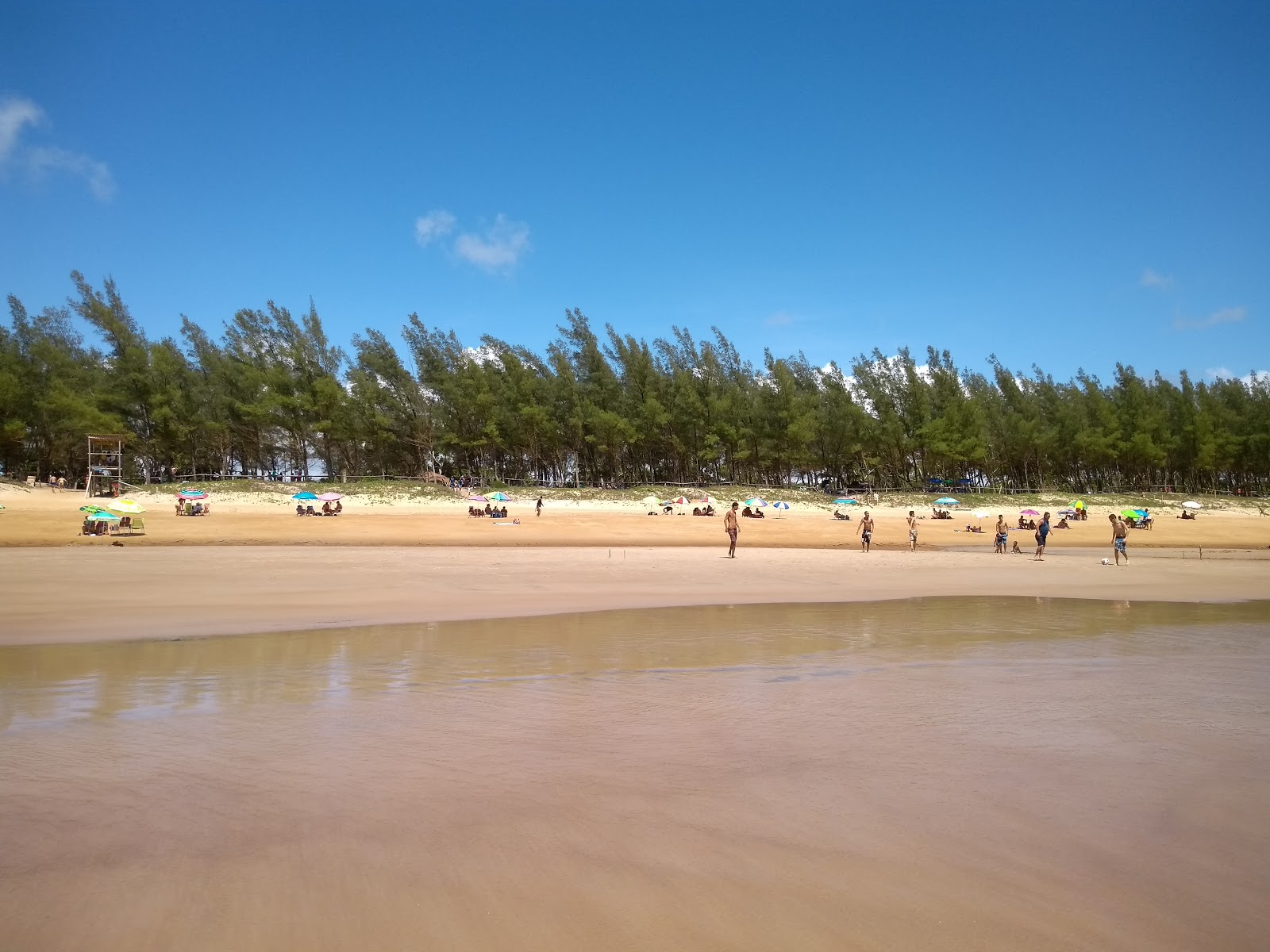 Fotografie cu Pădure de plajă zonele de facilități