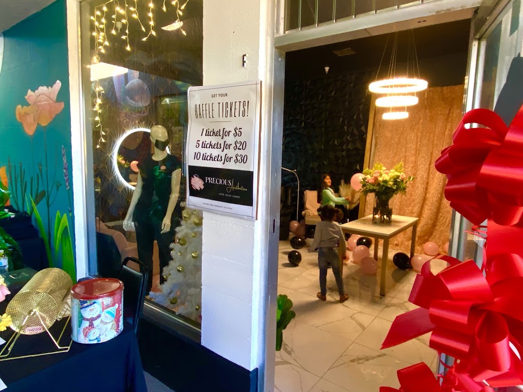 precious aesthetics 93060