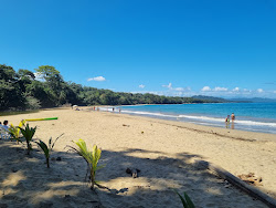 Photo de Punta Uva beach et le règlement