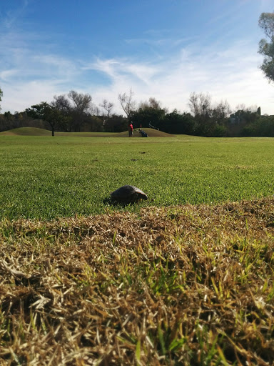 Golf Course «Admiral Baker Golf Course», reviews and photos, 2400 Admiral Baker Rd #3604, San Diego, CA 92124, USA