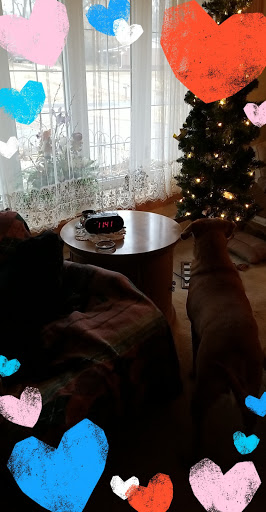 Wine Store «Total Wine & More», reviews and photos, 13887 Manchester Rd, Ballwin, MO 63011, USA