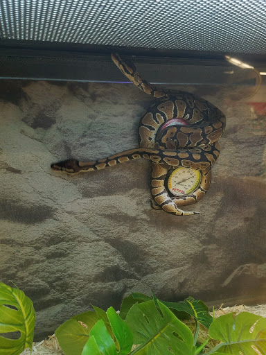 Pet Supply Store «Petco Animal Supplies», reviews and photos, 6425 Keizer Station Blvd, Keizer, OR 97303, USA