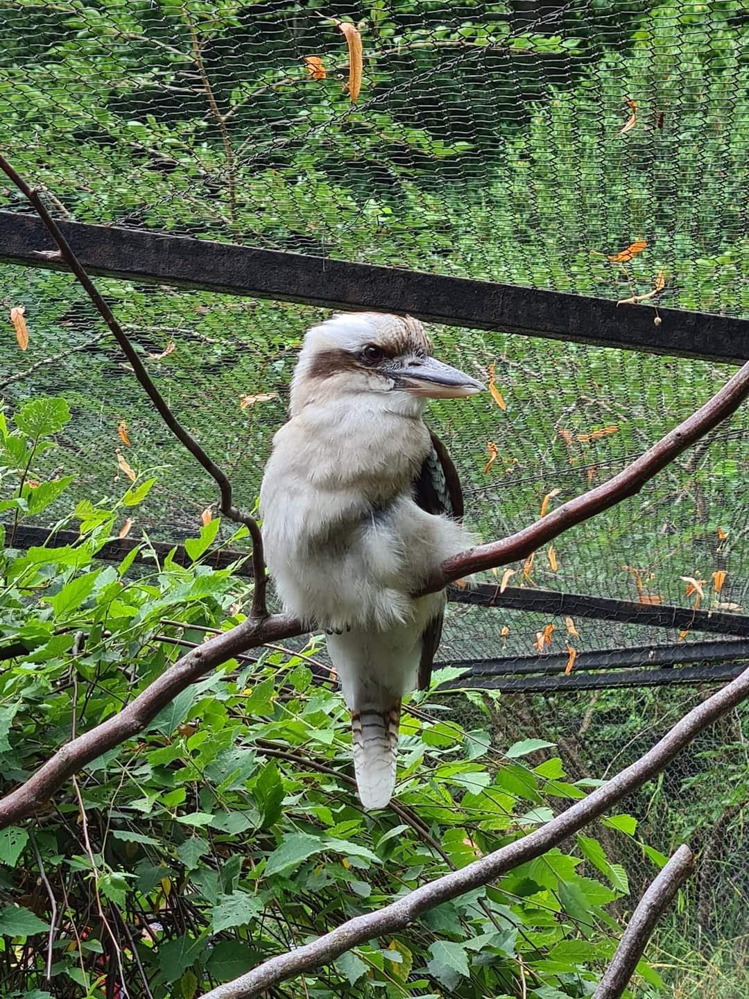 Photo n° 26 de l'avis de Maïté.e fait le 03/08/2022 à 19:24
