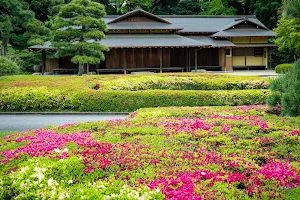 Ninomaru Garden image