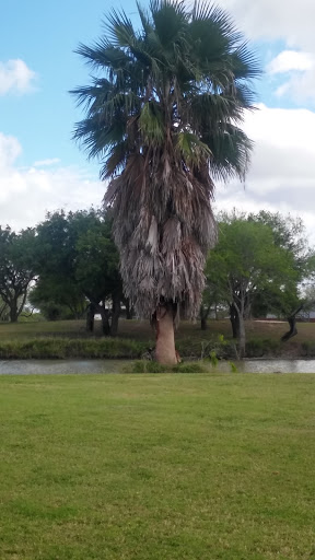 Golf Course «Harlingen Municipal Golf Course», reviews and photos, 2640 Golf Course Dr, Harlingen, TX 78550, USA