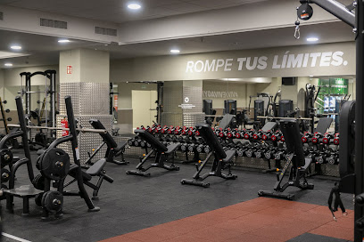 VIVAGYM ROMAREDA | GIMNASIO EN ZARAGOZA