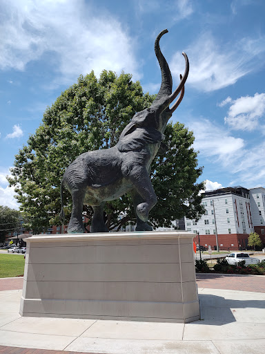 Stadium «Bryant-Denny Stadium», reviews and photos, 920 Paul W Bryant Dr, Tuscaloosa, AL 35401, USA