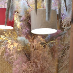 Photo n°2 de l'avis de sal.o fait le 29/04/2023 à 12:18 sur le  Social Pizza à Naples