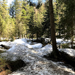 Photo n°18 de l'avis de Stefan.e fait le 24/04/2019 à 19:19 sur le  Arberseehaus à Bayerisch Eisenstein