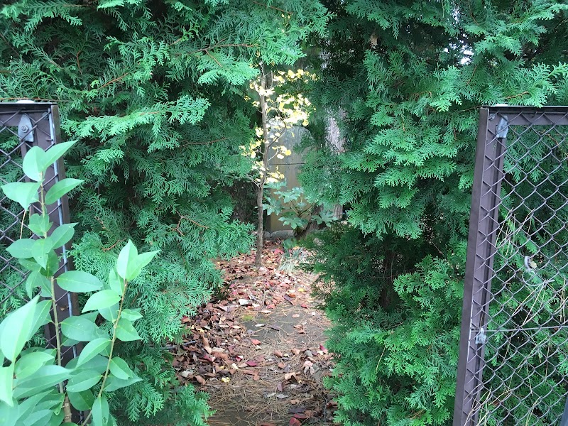 木曾塚 木曽義高の墓 神奈川県鎌倉市大船 史跡 グルコミ