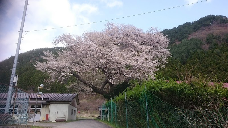 上栗林の桜