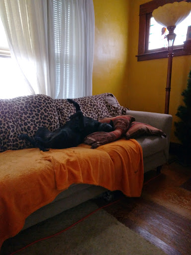 Pet Supply Store «Petco Animal Supplies», reviews and photos, 1960 Edinboro Rd, Erie, PA 16509, USA