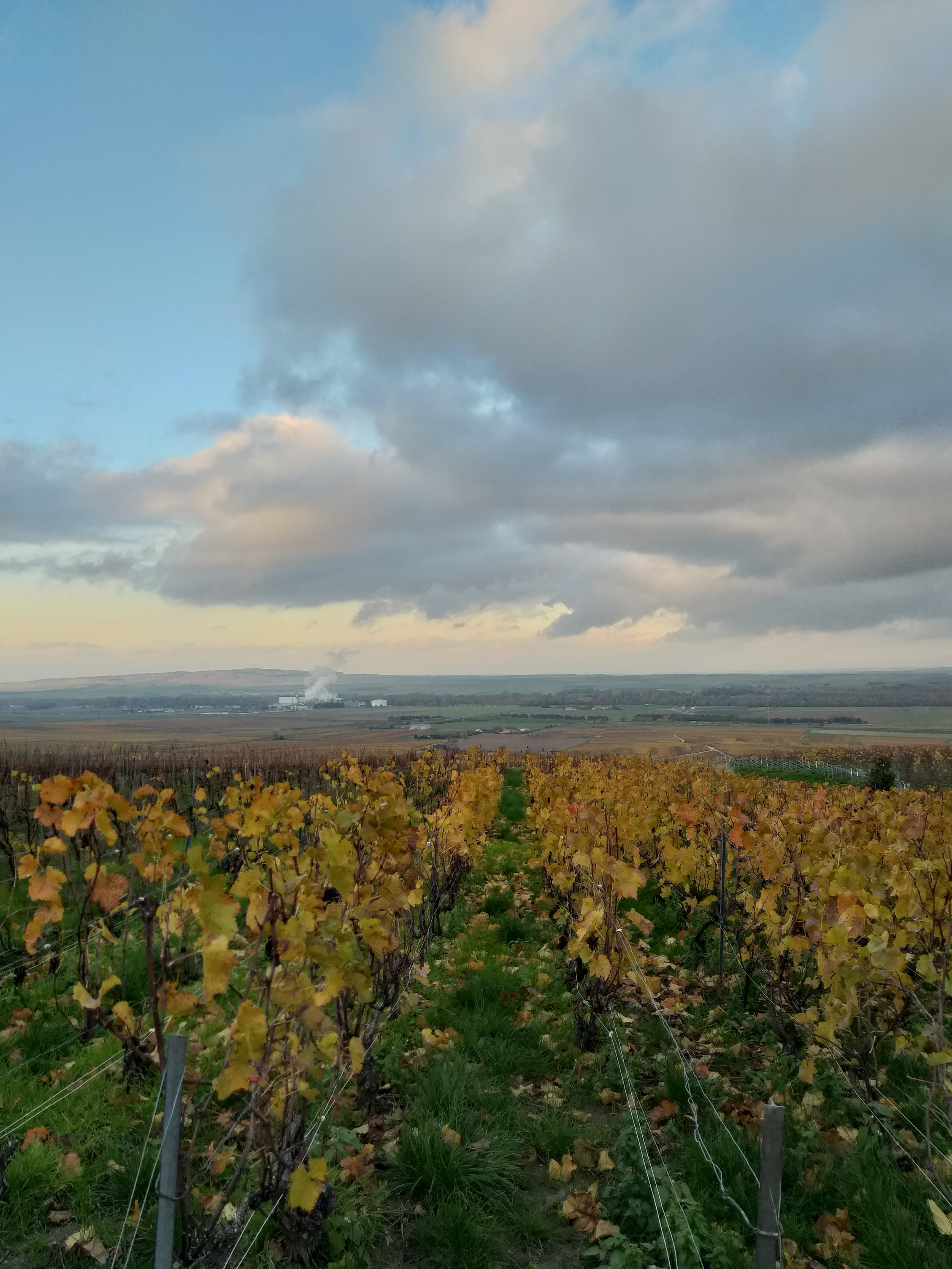 Photo n° 4 de l'avis de Elodie. fait le 23/11/2019 à 20:54