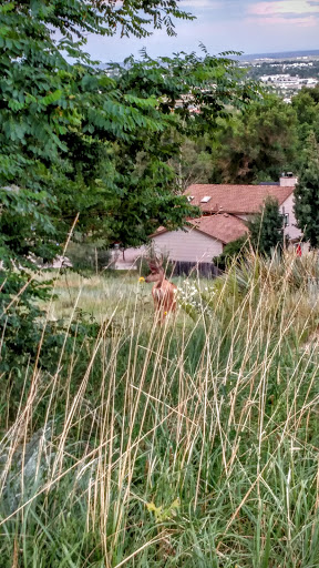 Park «Rudy Park», reviews and photos, 5360 Cracker Barrel Cir, Colorado Springs, CO 80917, USA