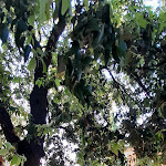 Photo n°16 de l'avis de Youri.o fait le 13/03/2024 à 23:00 sur le  Tenuta Terre di Bosco à Bosco