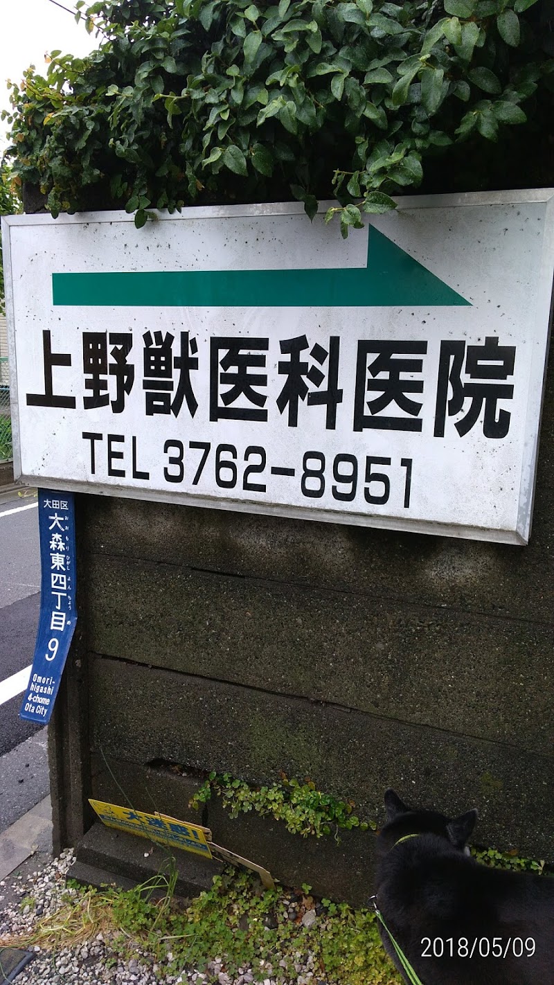 上野獣医科医院