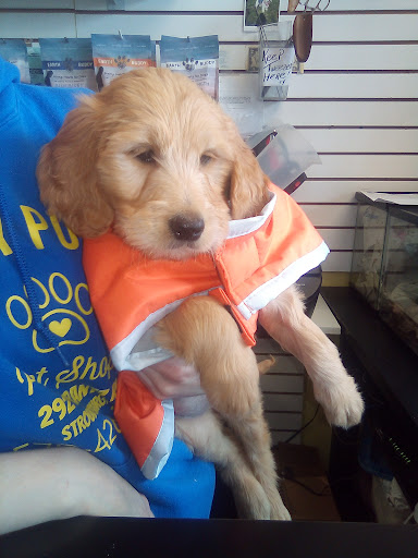 Pet Store «Yuppy Puppy Pet Shop», reviews and photos, 292 Frantz Rd, Stroudsburg, PA 18360, USA