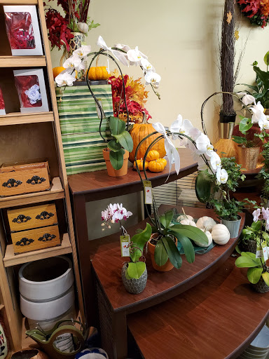 Grocery Store «Safeway», reviews and photos, 16405 CA-116, Guerneville, CA 95446, USA