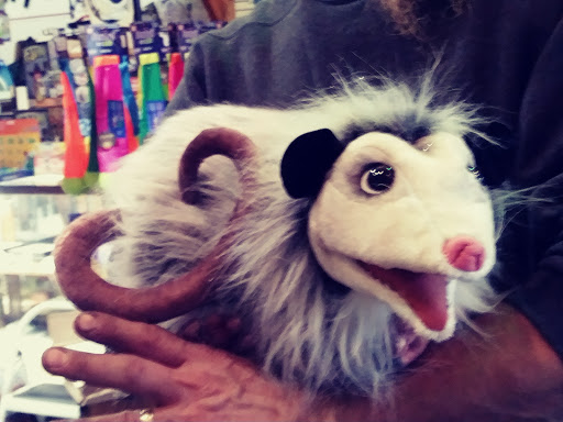 Toy Store «The Nature And Discovery Store,Inc.», reviews and photos, 19 Hughes St, New Ringgold, PA 17960, USA