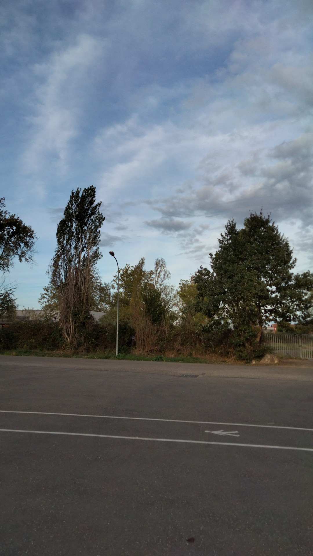 Photo n° 47 de l'avis de Francisco.a fait le 24/10/2022 à 15:38