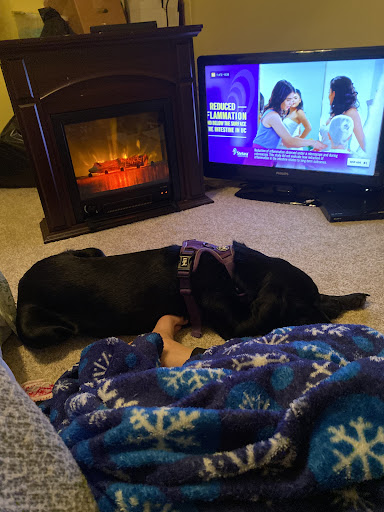 Animal Shelter «One of A Kind Pet Rescue», reviews and photos, 1929 W Market St, Akron, OH 44313, USA