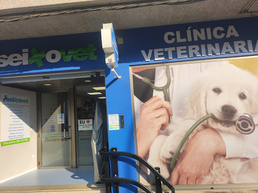 Hospitales y veterinarios de urgencia en Marín de 2024