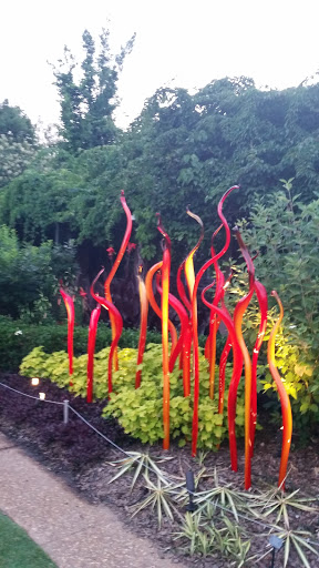 Botanical Garden «Atlanta Botanical Garden», reviews and photos, 1345 Piedmont Ave NE, Atlanta, GA 30309, USA