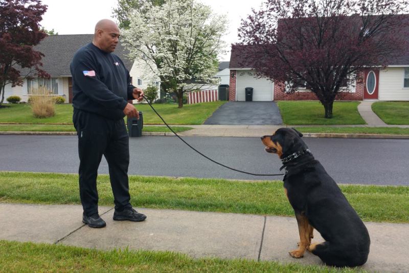 Anderson K9 Training, LLC