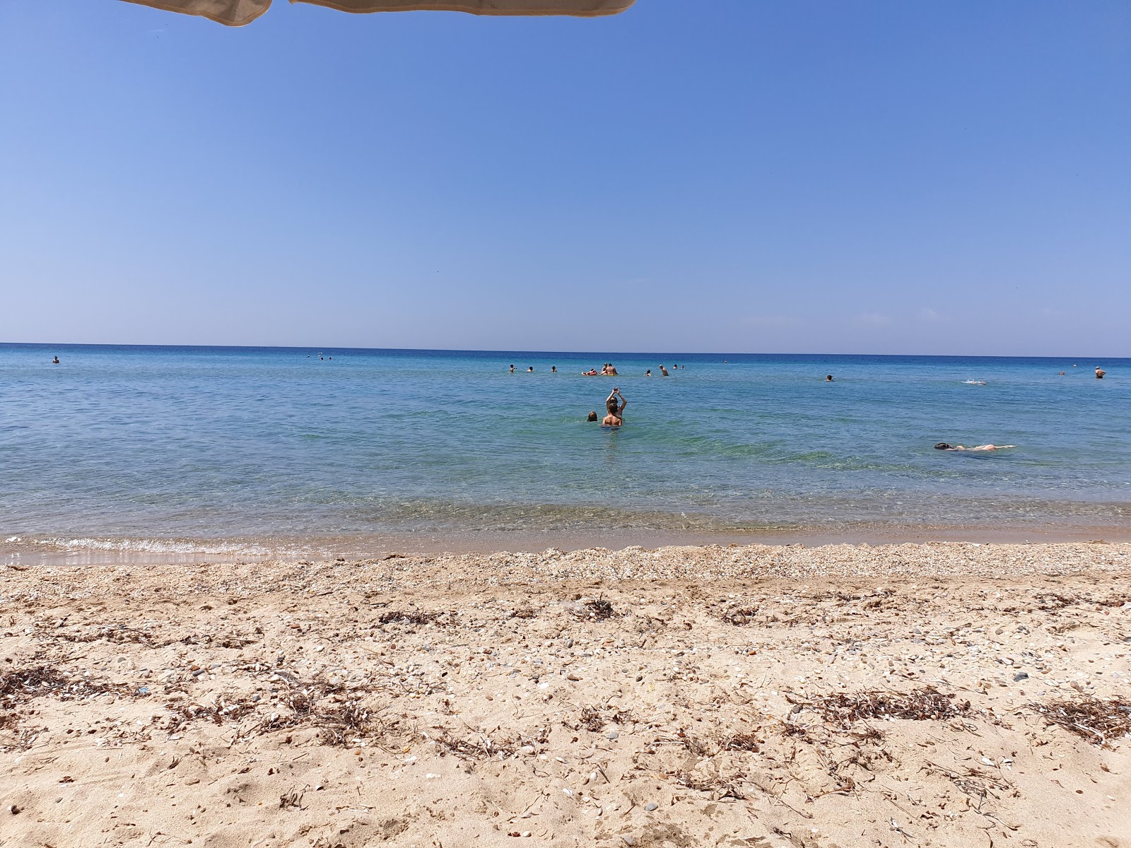 Φωτογραφία του Vergia beach - καλό φιλικό προς τα κατοικίδια σημείο για διακοπές