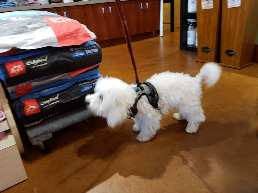 Pet Store «Three Dog Bakery», reviews and photos, 1556 W McEwen Dr #112, Franklin, TN 37067, USA