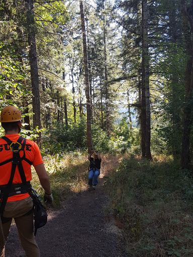 Tourist Attraction «Tree to Tree Adventure Park», reviews and photos, 2975 SW Nelson Rd, Gaston, OR 97119, USA