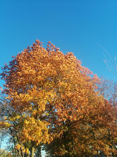 Park «Kissena Park», reviews and photos, 164-15 Booth Memorial Ave, Fresh Meadows, NY 11365, USA