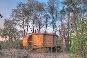 andBeyond Sandibe Okavango Safari Lodge image