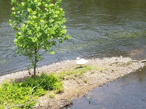 Bicycle Store «Blackstone Bicycles», reviews and photos, 391 Mendon Road, Cumberland, RI 02864, USA