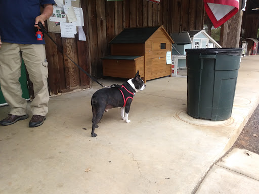 Pet Supply Store «The Stock Market Country Store», reviews and photos, 4479 Dover Pl SE, Conyers, GA 30013, USA