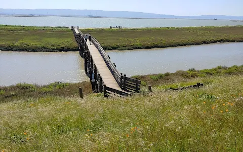 Don Edwards San Francisco Bay National Wildlife Refuge image