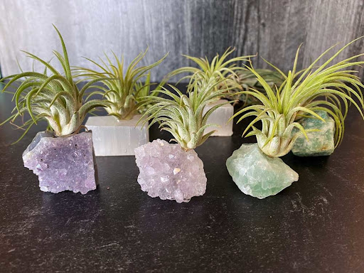 Explore colorful flower tattoo ideas, creative tattoo ideas in Spokane, available at Moms Custom Tattoo & Body Piercing